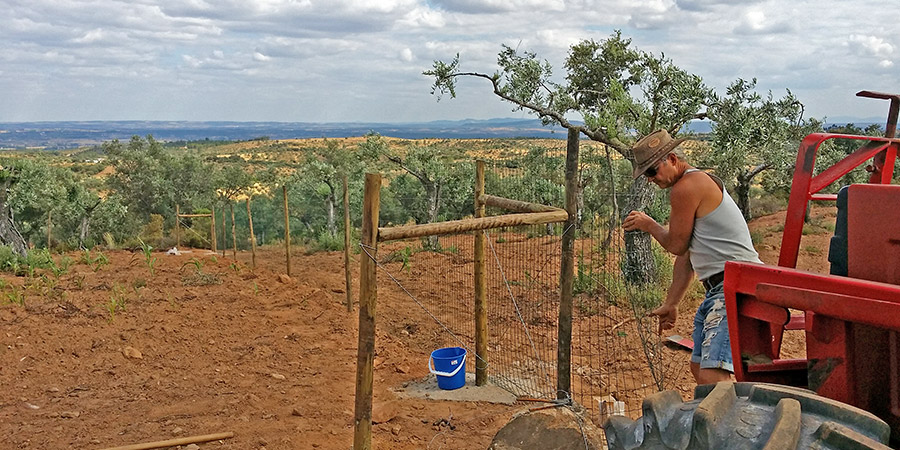 Some fences are necessary