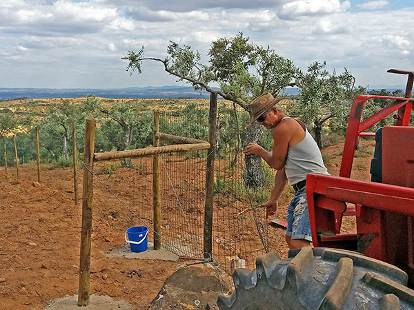 Einzäunung des Grundstückes